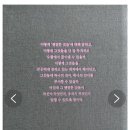 비바비버플라워스튜디오