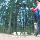 수자연수목원 세계일보