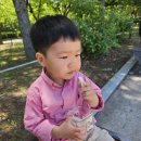숲속휴게소 | 인천 아이와 가볼 만한 곳｜인천대공원 숲속도서관·호수 산책 코스 후기