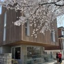 라이크 잇(LIKE EAT) | 연남동 신상 브런치 카페, 두유라이크잇 애견 동반 카페 내돈 내산