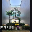 노블피아 요양원