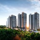 수원-1110 이미지