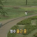 대지세탁소 | 사과 X 도마도 O
