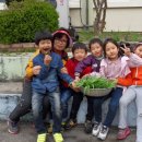 부항초교 이미지