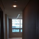 평촌중앙약국 이미지