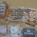 천원떡 네이버블로그