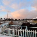 중앙목장 이미지