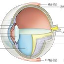 365 마음동물병원 이미지