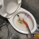 [한달강좌 2차][외부][야간]천연비누 | 하남 미사 화장실 변기 오수관 막힘, 원인부터 해결법, 업체 선정, 비용까지 완벽 가이드