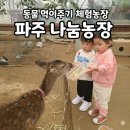 부리농장 | [파주 아이랑 갈만한 곳] 파주 나눔농장 후기 아이가 좋아하는 동물 먹이주기 체험 가득한 곳