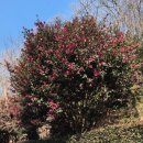 선암사매표소_관광안내소 | 순천 가 볼만 한 곳 국가 유산청(26) 국가 유산 방문 코스 산사의 길 선암사 스탬프 위치