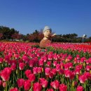 건강생활태안지점 | [충청남도 태안군] 2026 태안국제원예치유박람회