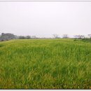 동안마을회관 이미지