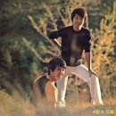 대도레코드사 이미지