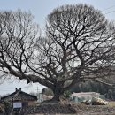 당사마을회관 이미지