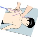 ＜롤핑자세연구소＞ Unit 3 롤핑 Myofascial Release - Head, Neck and TMJ (거북목) 세미나 안내 이미지