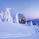 강남화원 이미지