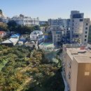 세븐일레븐 서귀포오션팰리스점 이미지