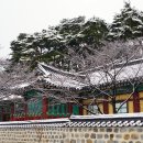 겨울