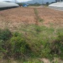 월곡농장 이미지