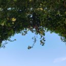 백제카센터 이미지