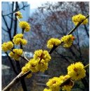 홍기섭 | 도둑을 감동 시킨 선비 홍기섭