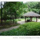 여주-0608 이미지