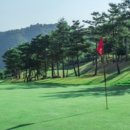 에버리오골프클럽 이미지