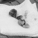 서울뿌리깊은치과의원 이미지