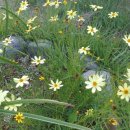 예사랑피아노학원 이미지