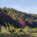 알이랑농장 이미지