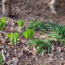 길머리 공원 이미지