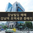 빌딩리스부동산중개 | 강남빌딩 매매｜강남역 초역세권 8층 층매각 안내
