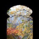 용문시장 사거리 -1 이미지