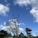 국립생태원 | 서천_아이와 가볼만한 곳 :자연 공부 제대로! 국립생태원 솔직 후기 (초등 아이 강추)