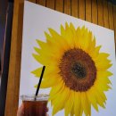 보배반점화정점 이미지