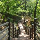 반룡산공원 이미지