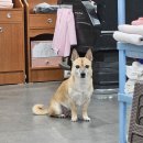 스타게임장 | [일상] 9월 | 지친 직장인 일상 | 만화카페 게임장 | 부족한 휴가 🐦