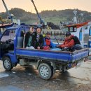 시산이드레 이미지