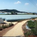 경수농장 이미지