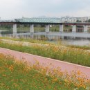 01-43 동구 이미지