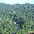 The amazonian virgin forest in Brazil - Peru 이미지