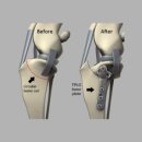 상암동물병원 이미지