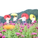 산소카폐 청송정원 (2) 이미지