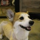 포포앤미루 강동점 이미지