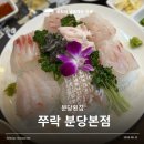 분당정자횟집 6월제철 민어회 부레까지 즐기는 쭈락분당본점 후기