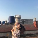 에니펫동물병원 이미지