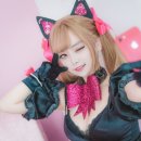 티디바이오 이미지