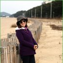 바다엔소나무 이미지