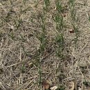 만산농장 이미지